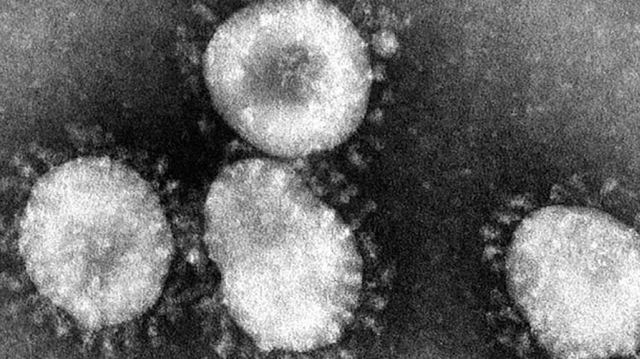 Coronavirus chinois : Cinq touristes placés en observation à Maurice