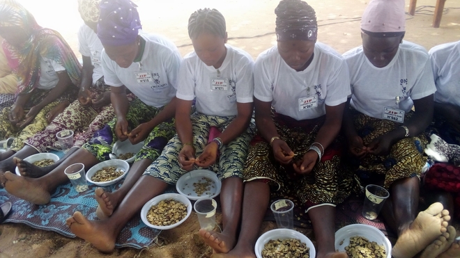Le Bénin célèbre ses femmes avec un championnat de décorticage de sésame