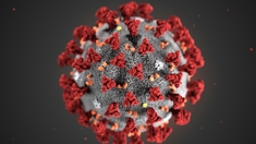 Epidémie : le nouveau coronavirus se déclare au Cameroun