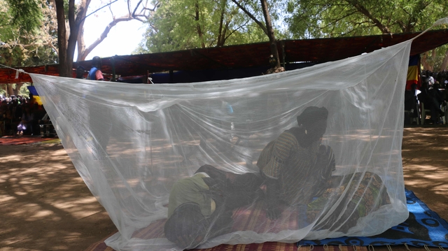 Démoustication, distribution gratuite de moustiquaires... en Côte d'Ivoire, la lutte contre le paludisme continue