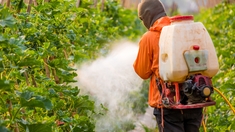 La France vendra moins de pesticides poisons à l’Afrique !