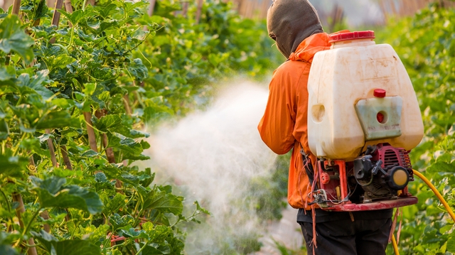 La France vendra moins de pesticides poisons à l’Afrique !