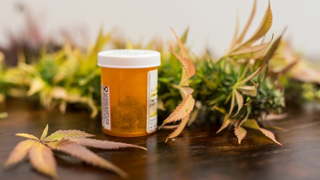 La Zambie légalise le cannabis thérapeutique (Illustration)