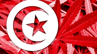 Tunisie : les autorités convoquent les médecins qui auraient fumé un joint au travail