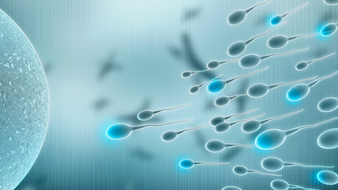 En Algérie, les hommes sont de plus en plus infertiles car leur sperme est insuffisant (Illustration)