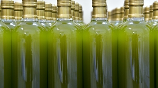 Non, l’huile d’olive marocaine ne présente pas de danger pour la santé