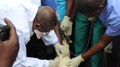 10 000 vaccins pour lutter contre la rage en Guinée