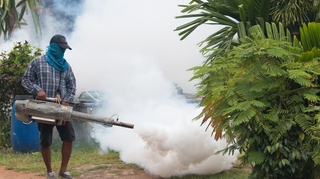 Paludisme : la Côte d'Ivoire lance une campagne de démoustication