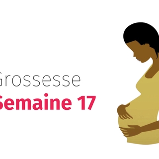 Suivez votre grossesse : la dix-septième semaine !