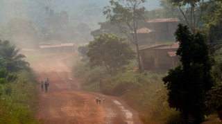 Le Gabon rémunéré pour sa forêt