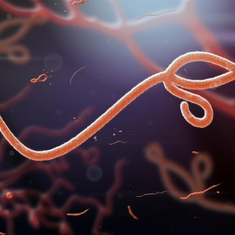 Symptômes, examens, traitement... tout ce qu'il faut savoir sur Ebola