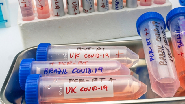 Coronavirus : Maroc, Sénégal, Gabon... ces pays africains touchés par le variant britannique