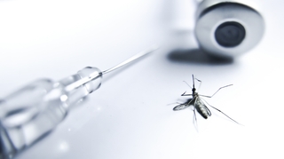 Bonne nouvelle, l'OMS valide le premier vaccin contre le paludisme pour les enfants