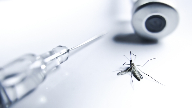 L'OMS recommande le premier vaccin contre le paludisme 
