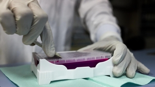 Voici combien coûteront les tests PCR au Gabon à partir du 15 décembre