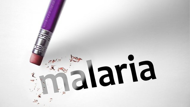 Le Cameroun prépare sa campagne de lutte contre le paludisme 