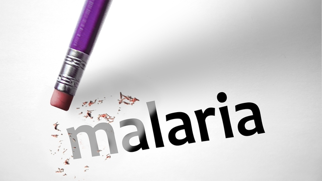 Le Cameroun veut réduire la mortalité due au paludisme 