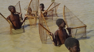 Le Cameroun veut protéger ses enfants de la bilharziose
