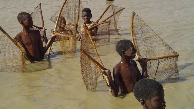 Le Cameroun veut protéger ses enfants de la bilharziose