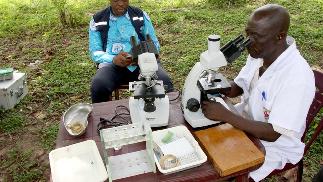 Le traitement préventif des maladies tropicales négligées a sauvé de nombreuses vies en Afrique
