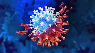 Coronavirus : le variant sud-africain pourrait immuniser contre les autres mutations
