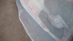 Cameroun : Le paludisme s'en prend surtout aux enfants