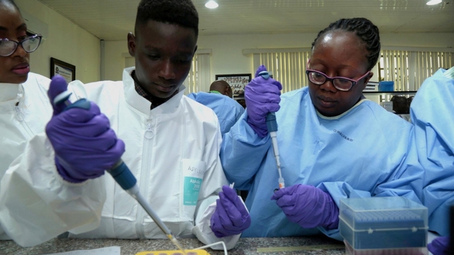 Une prise de sang pour détecter tous types de cancers, un espoir pour l'Afrique