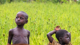 En Afrique, au moins une personne sur quatre souffre de faim "alarmante"
