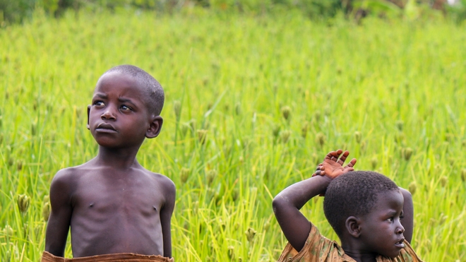La malnutrition gagne l'Afrique