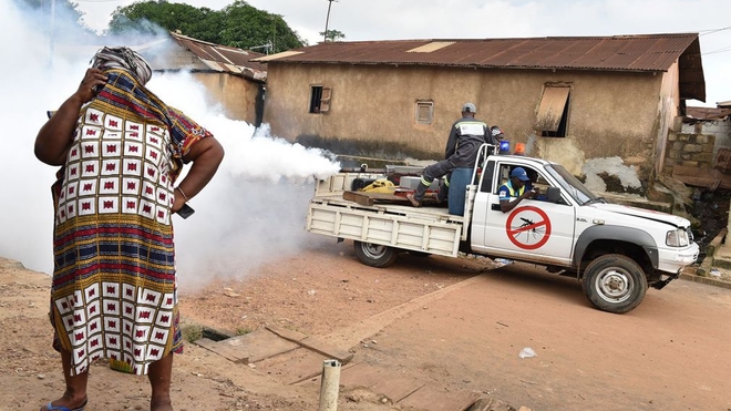 En Côte d'Ivoire, la lutte contre le moustique Aedes s'organise