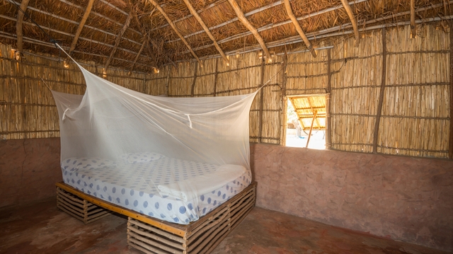 Affaiblie par le Covid-19, la lutte contre le paludisme perd du terrain au Sénégal