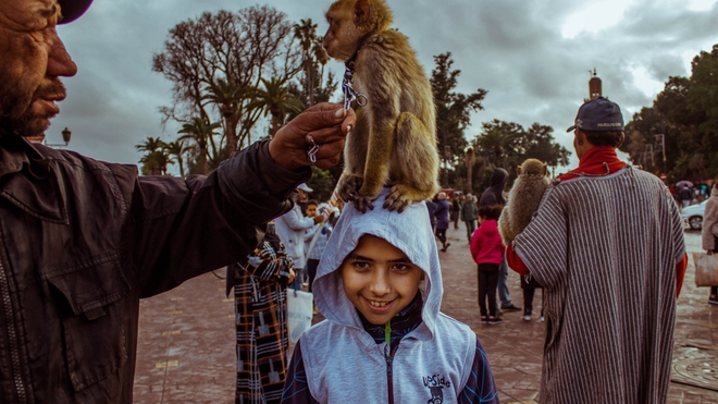 Un enfant qui s'amuse avec un singe sur la place Jamaa el Fna, à Marrakech