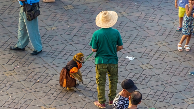 Un homme avec un singe dans la place Jamaa el Fna, à Marrakech