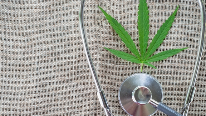 Le cannabis, un nouvel espoir de traitement du Covid-19 