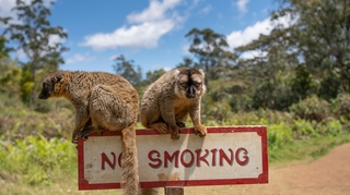 A Madagascar, la lutte antitabac s'offre un nouveau souffle