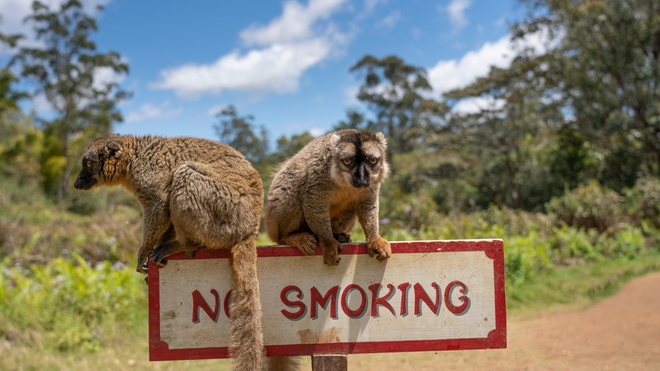 La lutte antitabac s'accélère à Madagascar