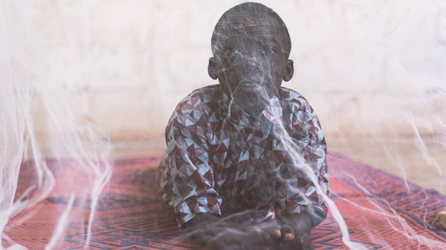 Épargné par le Covid, le Mali enregistre de plus en plus de cas de paludisme
