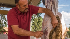Aïd al-Adha 2022 : Quand consommer la viande et comment la conserver