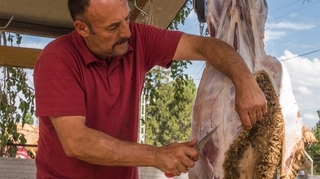 Aïd al-Adha 2022 : Quand consommer la viande et comment la conserver