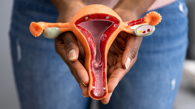 Point G, orgasme, taille, pénétration, deep spot... tout savoir sur le vagin