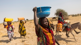 Tchad : agir contre l'insécurité alimentaire