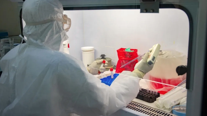 Manipulation de tests PCR à l'Institut Pasteur de Dakar