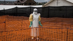 Vers de nouveaux essais cliniques de vaccins contre Ebola ? 