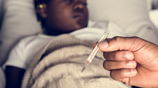 Le Tchad se donne les moyens de lutter contre la grippe pandémique