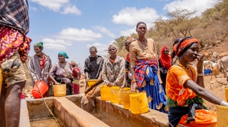 Dans la grande corne de l'Afrique, le changement climatique favorise les épidémies 