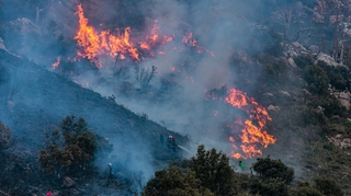 Après l'Algérie, le Maroc est touché par des feux de forêt
