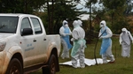 Le virus de Marburg tue en Tanzanie 