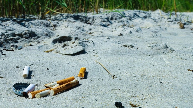Lorsqu'ils sont jetés de manière inappropriée, les mégots de cigarettes constituent une forme de pollution plastique qui peut nuire à la vie marine et empoisonner les eaux