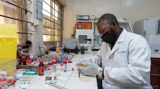 En Afrique, la riposte s'organise contre l'antibiorésistance