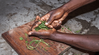 Médicaments : L'Afrique mise sur l'IA pour en créer de nouveaux